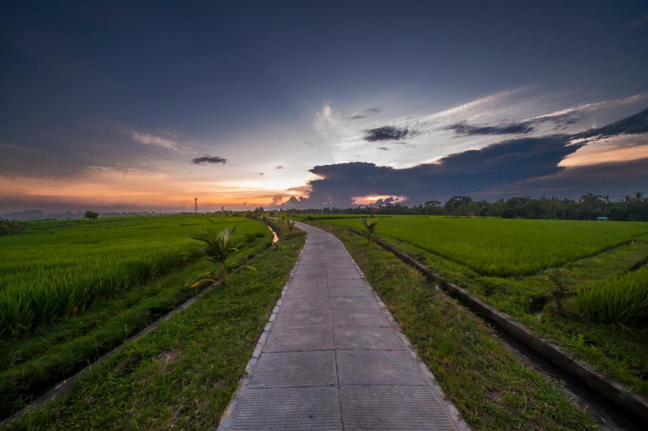 The Lebak Canggu ภายนอก รูปภาพ